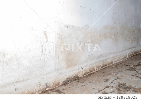 Flooding rainwater or floor heating systems, causing damage, peeling paint and mildew. 129818025