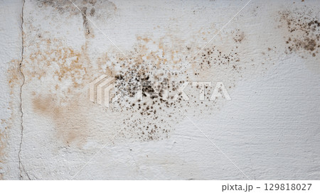 Flooding rainwater or floor heating systems, causing damage, peeling paint and mildew. Flooding rainwater or floor heating systems, causing damage, peeling paint and mildew. 129818027