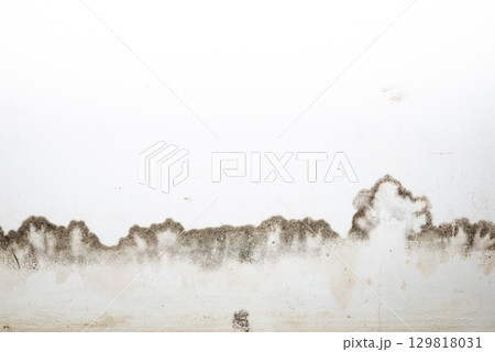 Flooding rainwater or floor heating systems, causing damage, peeling paint and mildew. 129818031