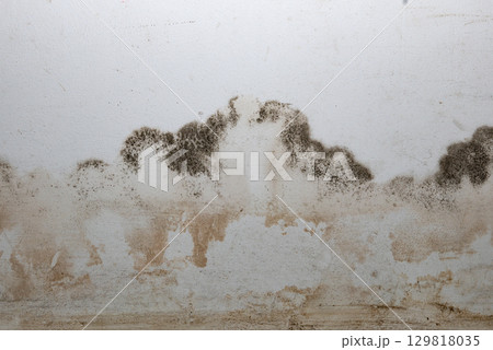 Flooding rainwater or floor heating systems, causing damage, peeling paint and mildew. Flooding rainwater or floor heating systems, causing damage, peeling paint and mildew. 129818035