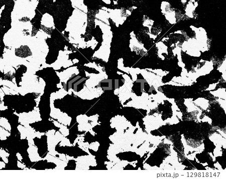 Abstract black and white texture with bold patterns resembling natural forms or animal markings Abstract black and white texture with bold patterns resembling natural forms or animal markings 129818147