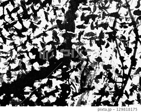 Artistic black and white abstract artwork showcasing textured patterns and forms inspired by nature 129818175