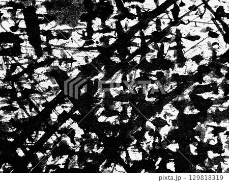 Abstract black and white artwork featuring dynamic lines and textures created with ink on canvas 129818319