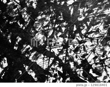 Abstract black and white artwork featuring chaotic lines and textures resembling tangled branches in nature's shadow 129818401