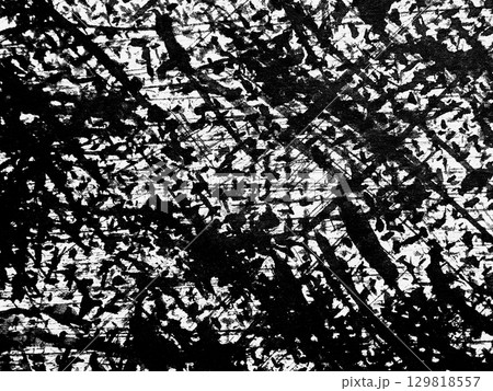 Abstract black and white pattern resembling tangled branches on a textured surface Abstract black and white pattern resembling tangled branches on a textured surface 129818557