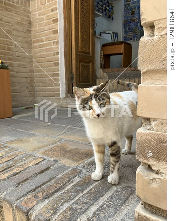 ウズベキスタン　サマルカンドのシャーヒ・ズィンダ廟群 129818641