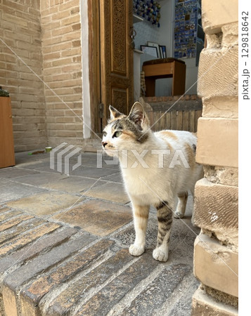 ウズベキスタン　サマルカンドのシャーヒ・ズィンダ廟群 129818642