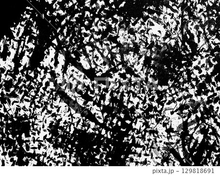 Intricate abstract patterns in black and white showcasing textured art elements Intricate abstract patterns in black and white showcasing textured art elements 129818691