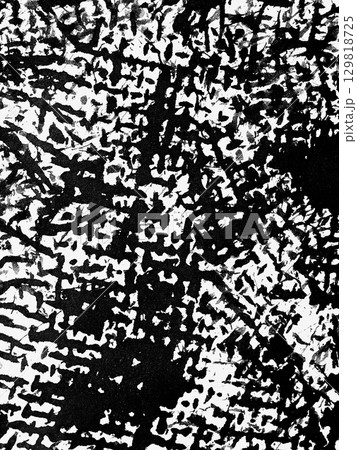 Modern abstract art composition featuring bold black and white textures inspired by natural patterns 129818725