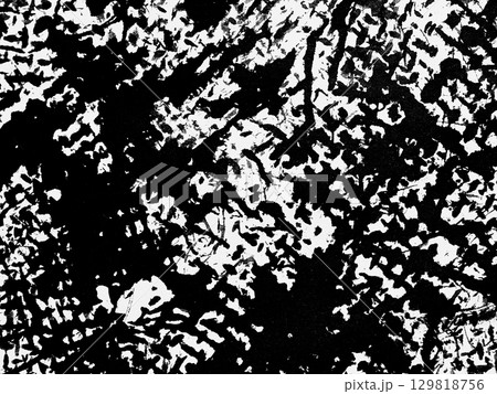 Textured black and white pattern resembling a natural landscape with intricate details Textured black and white pattern resembling a natural landscape with intricate details 129818756