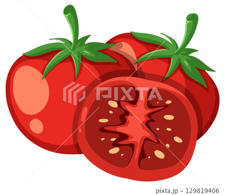 Fresh Whole and Sliced Tomato Vector Illustration 129819406