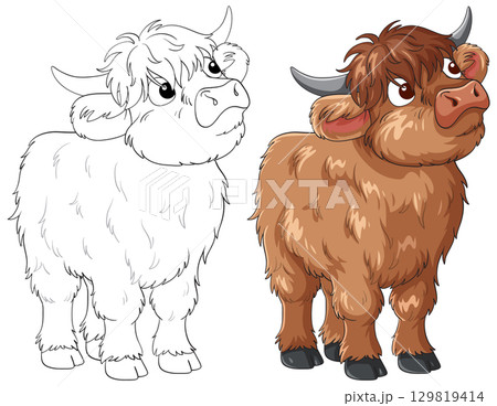Cute Highland Cow Cartoon with Color and Outline Versions 129819414