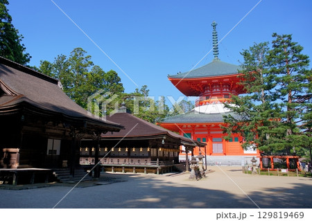 世界遺産高野山の情景　根本大塔と御影堂と三鈷の松 129819469