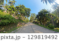 Jungle Road Palm Trees 129819492