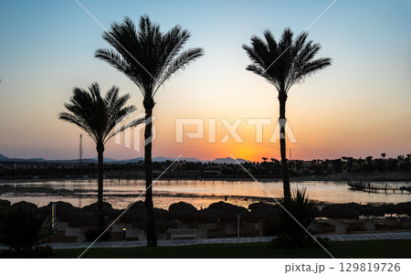 Sunset Between Palm Trees at Marsa Alam Resort 129819726