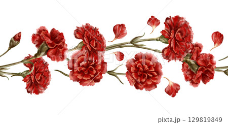 Red carnation flower in a seamless border as a symbol of mothers day,love,passion,valentine's day confessions. Isolated Watercolor hand-drawn illustration in vintage style as element for card,banner 129819849