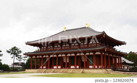 奈良 興福寺 中金堂 129820074