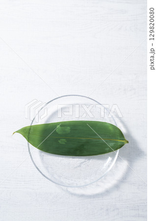 ガラスの器と笹の葉 ガラスの器と笹の葉 129820080