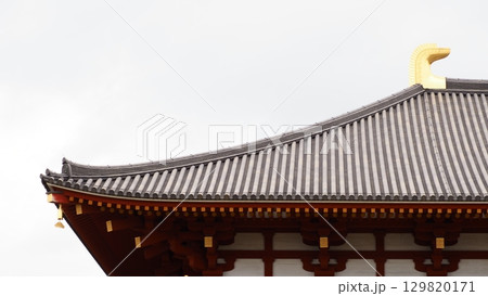 奈良 興福寺 中金堂 129820171