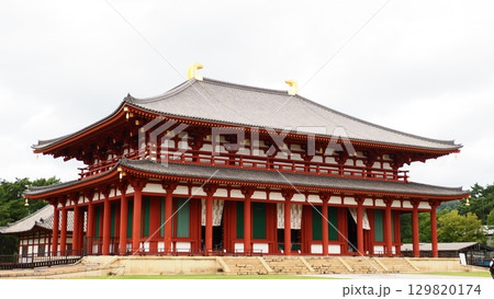 奈良 興福寺 中金堂 129820174