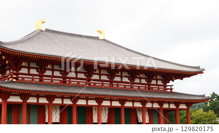 奈良 興福寺 中金堂 129820175