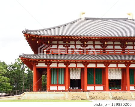奈良 興福寺 中金堂 129820200