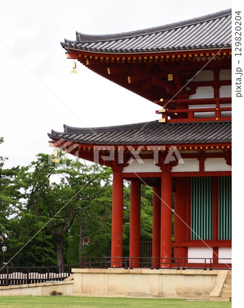 奈良 興福寺 中金堂 129820204