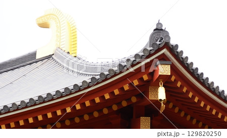 奈良 興福寺 中金堂 129820250