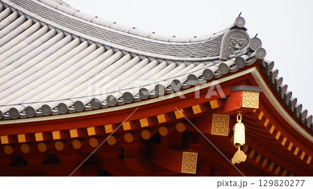 奈良 興福寺 中金堂 129820277