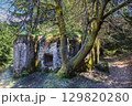 Overgrown Forest Bunker, Czech Republic 129820280