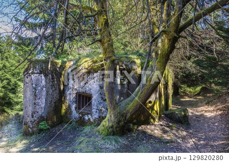 Overgrown Forest Bunker, Czech Republic 129820280