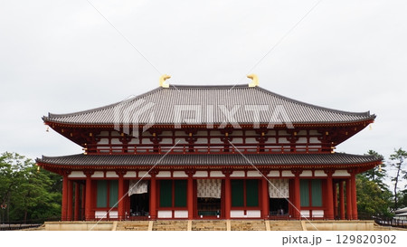 奈良 興福寺 中金堂 129820302