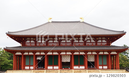 奈良 興福寺 中金堂 129820303