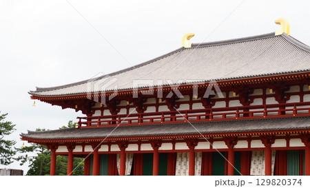 奈良 興福寺 中金堂 奈良 興福寺 中金堂 129820374