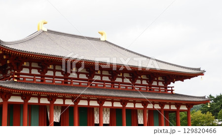 奈良 興福寺 中金堂 奈良 興福寺 中金堂 129820466