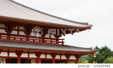 奈良 興福寺 中金堂 129820468