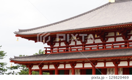 奈良 興福寺 中金堂 129820469