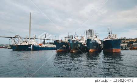 Several russian warships and a border guard patrol ship are docking in the harbor of vladivostok, russia Several russian warships and a border guard patrol ship are docking in the harbor of vladivostok, russia 129820475