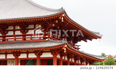 奈良 興福寺 中金堂 奈良 興福寺 中金堂 129820574