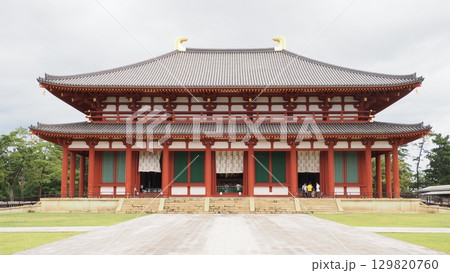 奈良 興福寺 中金堂 奈良 興福寺 中金堂 129820760