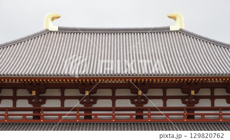 奈良 興福寺 中金堂 奈良 興福寺 中金堂 129820762