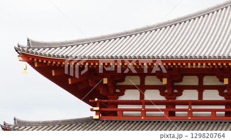 奈良 興福寺 中金堂 奈良 興福寺 中金堂 129820764