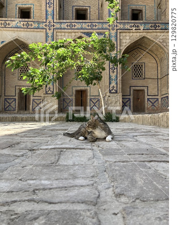 ウズベキスタン　ブハラのメドレセ 129820775