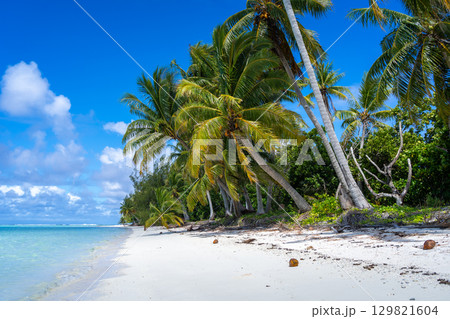 Idyllic white sand beach with coconut trees in Maupiti, French Polynesia Idyllic white sand beach with coconut trees in Maupiti, French Polynesia 129821604