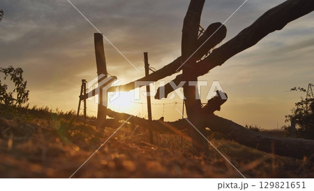 Sun setting behind wooden fence in Crimea near Belogorsk Sun setting behind wooden fence in Crimea near Belogorsk 129821651