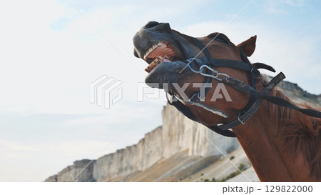 Brown horse neighing with White Rock in Crimea near Belogorsk 129822000