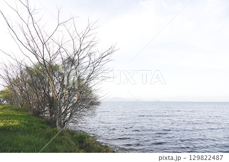 湖岸の樹木と静かな湖 うっすら対岸が見える 湖岸の樹木と静かな湖 うっすら対岸が見える 129822487