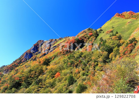 【愛媛県】紅葉した秋の瓶ヶ森（石鎚山） 129822708