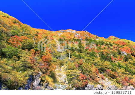 【愛媛県】紅葉した秋の瓶ヶ森(石鎚山) 【愛媛県】紅葉した秋の瓶ヶ森(石鎚山) 129822711