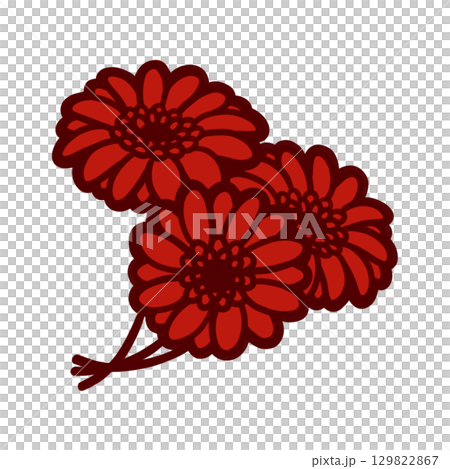 三幅紅色非洲菊的彩色插圖 三幅紅色非洲菊的彩色插圖 129822867